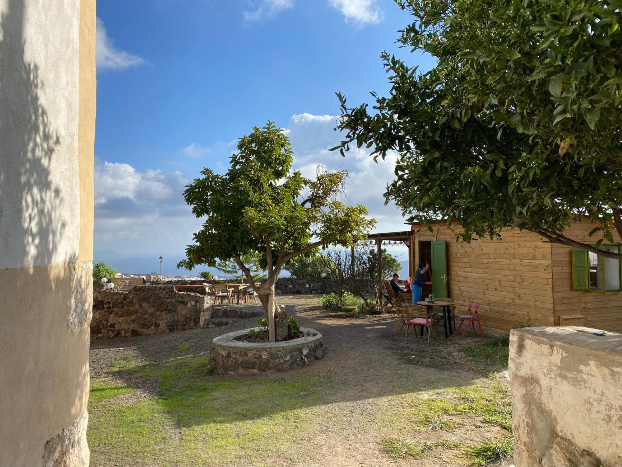 Biofinca Casa El Riego Гуимар Экстерьер фото