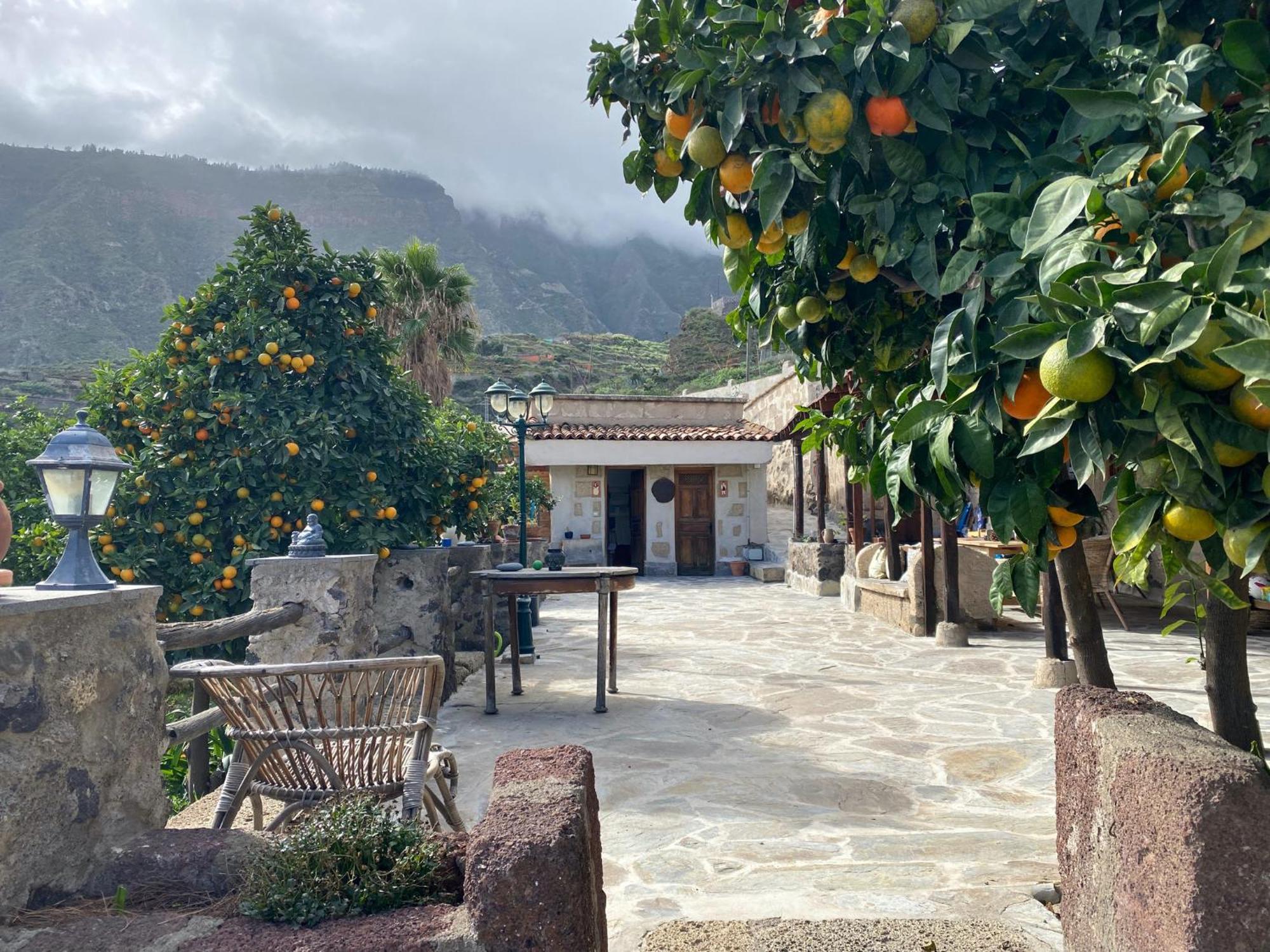 Biofinca Casa El Riego Гуимар Экстерьер фото